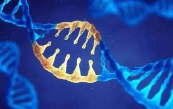 解析试管婴儿中PGD和NGS的区别，不止是技术不同