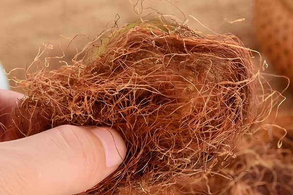 绿豆煮水和新鲜玉米须煲鸡蛋哪个用于孕晚期去胎毒效果更好？