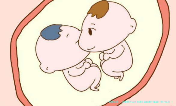 试管卵子保存和保存胚胎哪个靠谱？卵子保存和保存胚胎哪个好