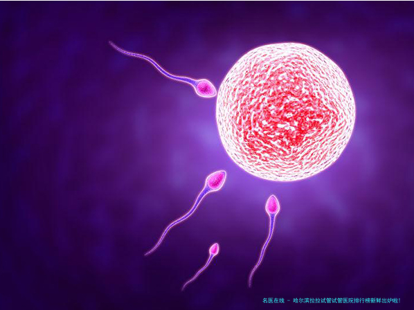 哈尔滨拉拉试管医院排行榜新鲜出炉啦!_拉拉伴侣如何选择哈尔滨试管医院、全套流程解析、费用明细及成功经验分享完整指南