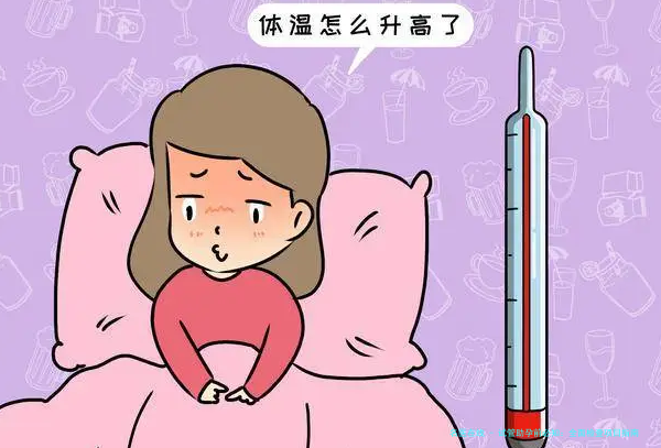 试管助孕前必知：全面检查项目指南