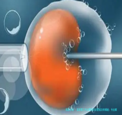 美国第三代试管医院试管成功率揭秘：专业解析与费用明细全掌握