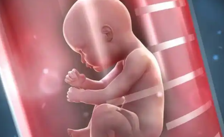 广西省南宁试管婴儿中介收费一般多少钱？